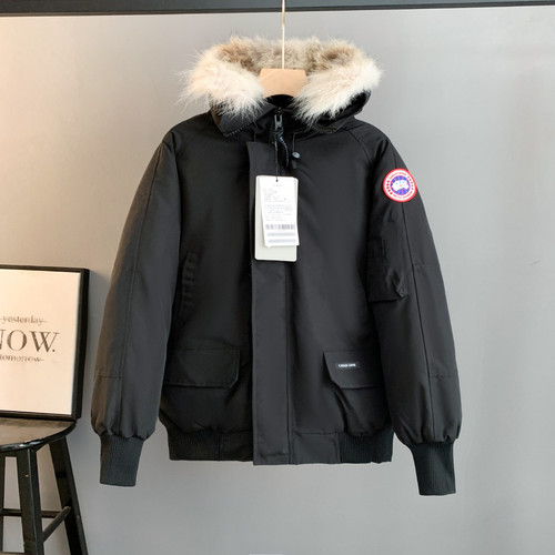 Canada goose chilliwack - canada, bomber